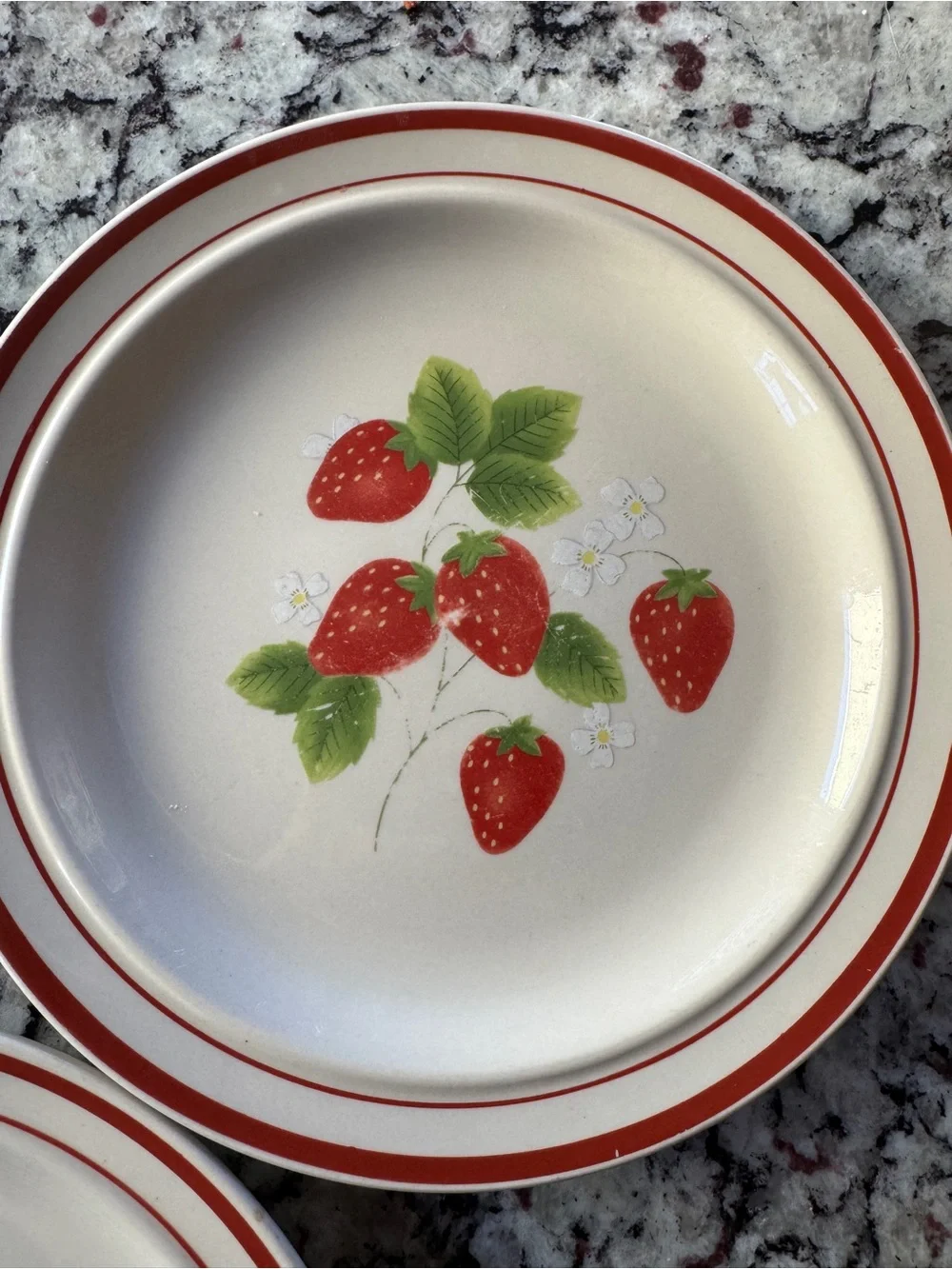 Fujustone berries Strawberry Pattern salad plates - Set of 3